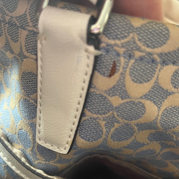 Coach Chambray Signature C Ivory Python Embossed Leather Tote Bag - Picture 11 of 14